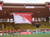 AS Monaco's home pitch, the Stade Louis II